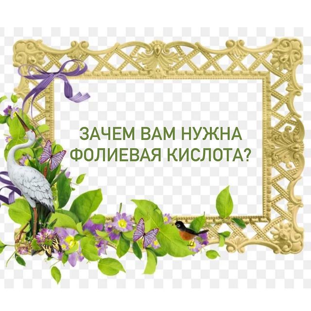 ФОЛИЕВАЯ КИСЛОТА (ВИТАМИН В9)