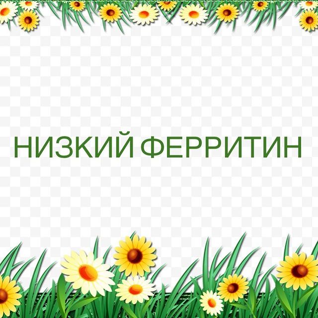 Железодефицитная анемия занимает 4 место в мире.