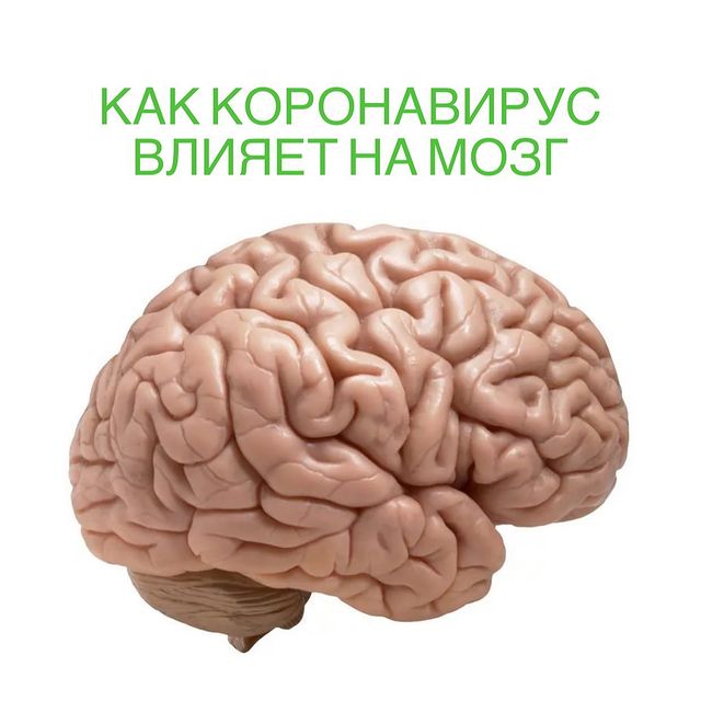 Как коронавирус влияет на мозг